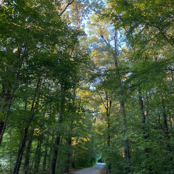 Meet your Posher, Chris - Picture 2 of 2